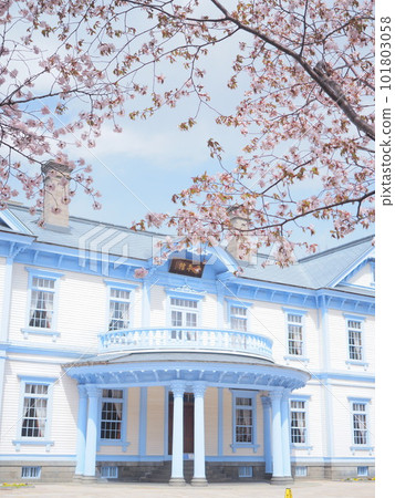 北海道中島公園 Hoheikan 和櫻花風景的絕佳景色 北海道中島公園 Hoheikan 和櫻花風景的絕佳景色 101803058