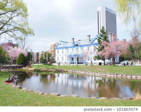 北海道中島公園 Hoheikan 和櫻花風景的絕佳景色 101803074