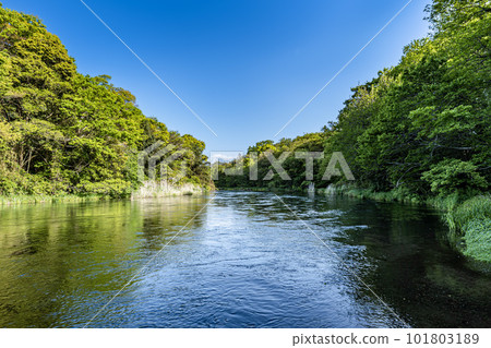 以流經靜岡縣駿都郡清水町的清水而聞名的柿田川和富士山 以流經靜岡縣駿都郡清水町的清水而聞名的柿田川和富士山 101803189