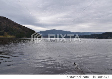 Lake Suigetsu in spring morning Fukui 101803875
