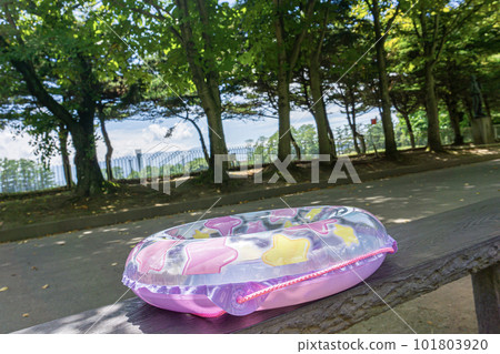 五顏六色的花車 101803920