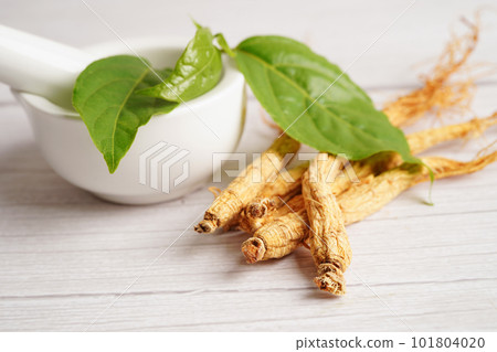Ginseng roots and green leaf, healthy food. Ginseng roots and green leaf, healthy food. 101804020