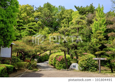 大部市大倉公園休息館和杜鵑花盛開 大部市大倉公園休息館和杜鵑花盛開 101804491