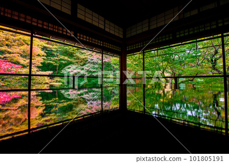 秋葉在京都 101805191