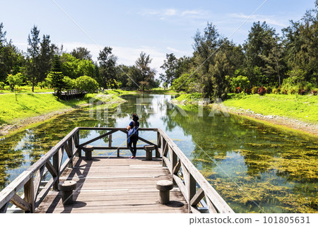Beautiful view of Pipa Lake at Taitung Forest Park in Taiwan. The scenic Pipa Lake is a habitat of aquatic animals and plants. 101805631