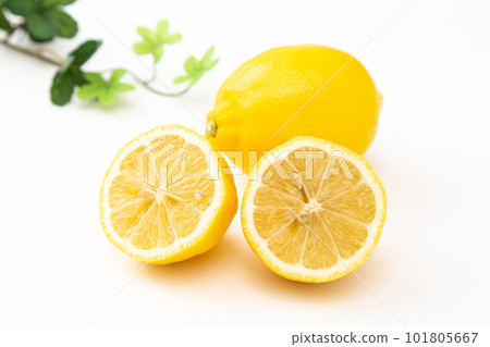 Lemon white background 101805667