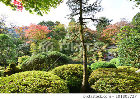 Shrines and Temples of Nikko Nikkosan Rinnoji Temple Greenery of Shoyoen 101805727