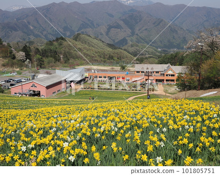 Norn Minakami Flower Garden Norn Minakami Flower Garden 101805751