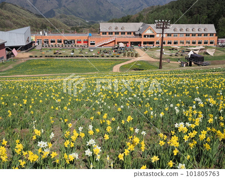 Norn Minakami Flower Garden 101805763