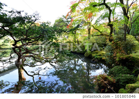 日本庭園日光山輪王寺正陽園的水邊全景 日本庭園日光山輪王寺正陽園的水邊全景 101805846
