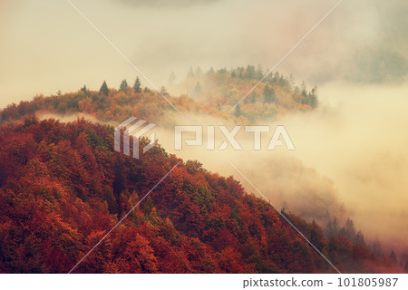 Misty mountain landscape Misty mountain landscape 101805987