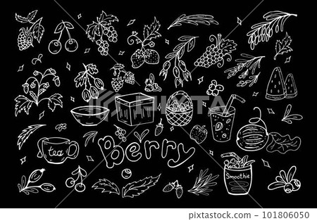 Set white berries doodle. Vector illustration. Berries, leaves, baskets, smoothies, healthy food. 101806050