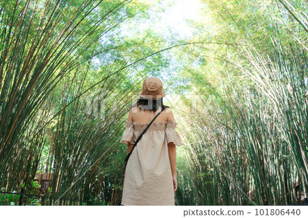 Young asian woman standing and looking in Bamboo forest tunnel on countryside Young asian woman standing and looking in Bamboo forest tunnel on countryside 101806440
