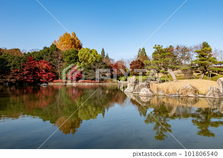 滋賀縣琵琶湖文化公園夕陽花園中美麗的秋葉 滋賀縣琵琶湖文化公園夕陽花園中美麗的秋葉 101806540