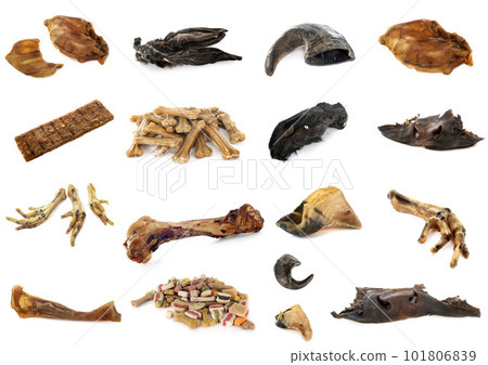 gnawing food for dog 101806839