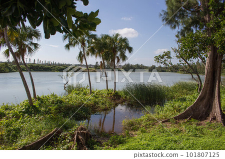 南大東島的Hytan池 南大東島的Hytan池 101807125