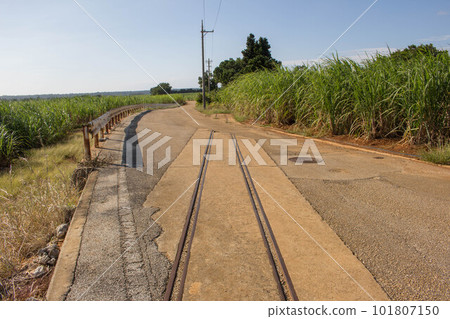 Abandoned sugar train line on Minamidaito Island 101807150