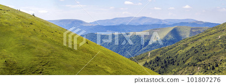 Panorama of green hills in summer mountains Panorama of green hills in summer mountains 101807276