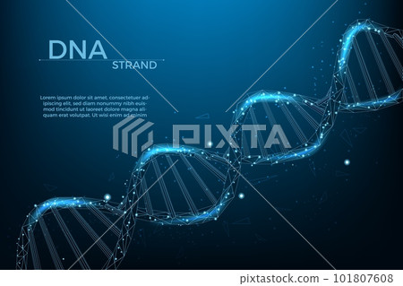 3d dna wireframe, health medicine banner template. Polygon helix hologram, innovation biology or genetic cells, futuristic chromosome molecule isolated. Vector gene background 101807608