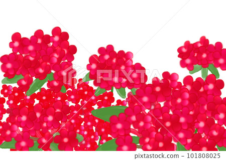 福祿考花卡6 福祿考花卡6 101808025