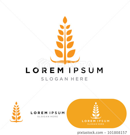 Agriculture Wheat logo template vector icon design 101808157