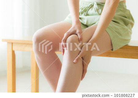 knee body parts knee body parts 101808227
