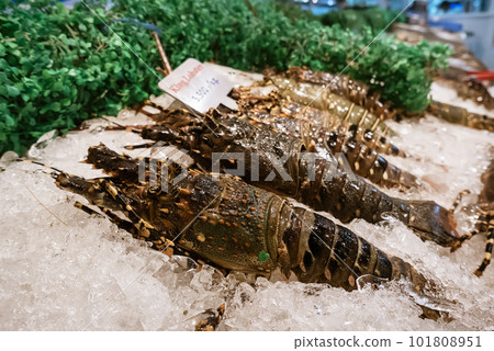 Fresh lobsters on ice 101808951