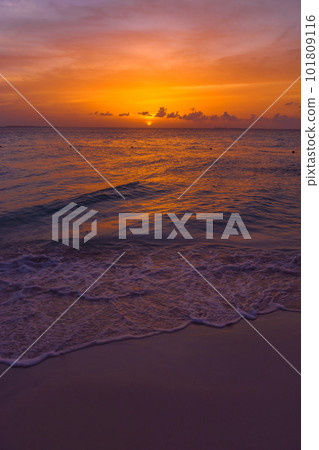 Sea beach with sky sunset or sunrise. Clouds over the sunset sea. Sea beach with sky sunset or sunrise. Clouds over the sunset sea. 101809116