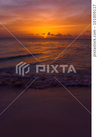 Sea beach with sky sunset or sunrise. Clouds over the sunset sea. Sea beach with sky sunset or sunrise. Clouds over the sunset sea. 101809117