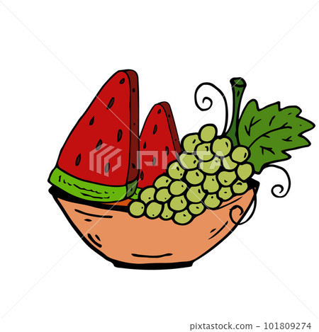 Watermelon, grapes on plate Isolated doodle vector illustration. Concept of summer, fruits healthy. 101809274