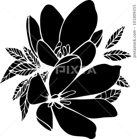 black graphic silhouette of two magnolia flowers without background, isolated element 101809355