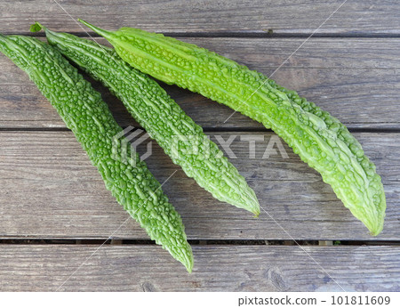 Photo of harvesting bitter gourd grown in a home garden 101811609