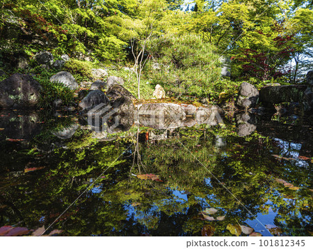 日式花園中美麗的池塘 101812345