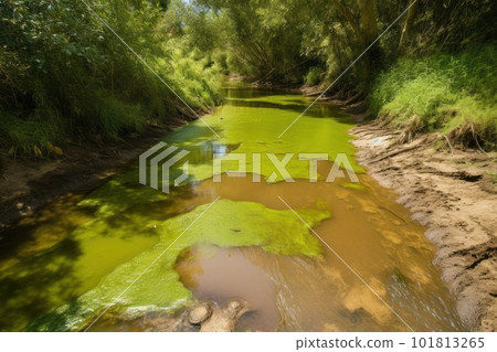 River or stream with stagnant water, as the lack of rainfall and reduced water flow algae growth problem 101813265