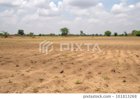 Dry cracked agricultural field due to drought, lack of water Dry cracked agricultural field due to drought, lack of water 101813268