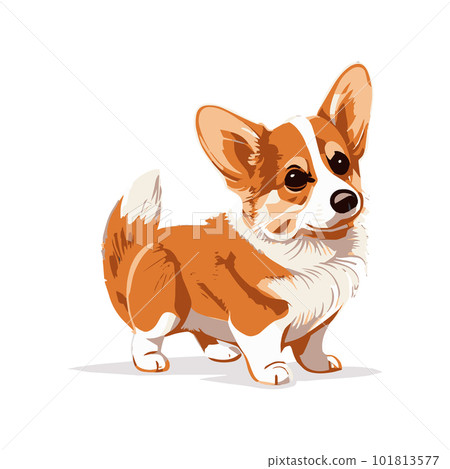 Realistic dog breed Corgi, on a white background - Vector Realistic dog breed Corgi, on a white background - Vector 101813577