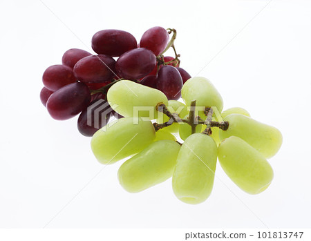 Grape Seedless 101813747