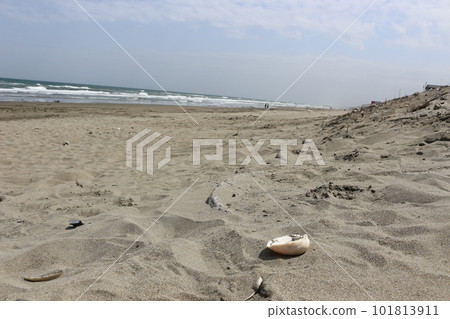 Otake Coast Otake Coast 101813911