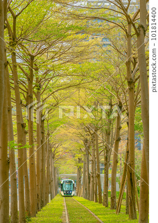 台灣高雄輕軌 2023 101814400