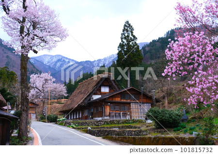 Spring Shirakawa Town 101815732