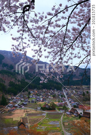 春川白川鎮 101815735