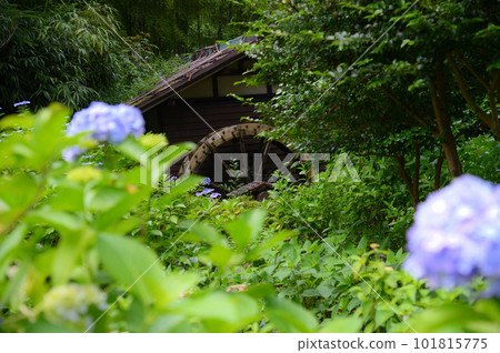 雨季的府中市共同之森博物館 101815775