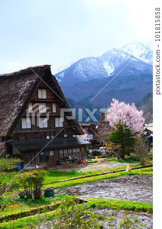 春川白川鎮 101815858