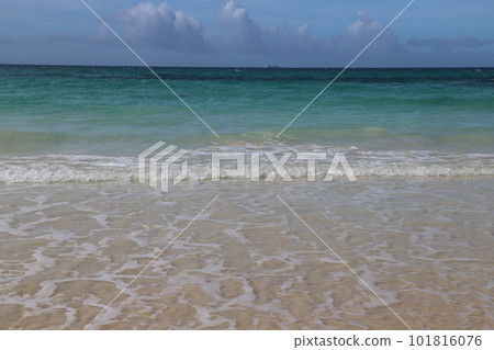 在海灘上的海灘 101816076