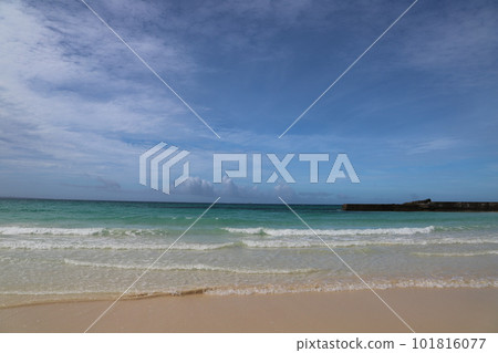 Beach on the beach 101816077