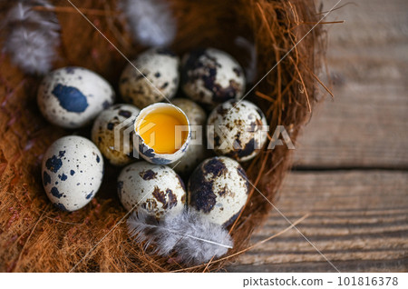 quail eggs on birds nest, fresh quail eggs and feather on wooden table background, raw eggs with peel egg shell 101816378