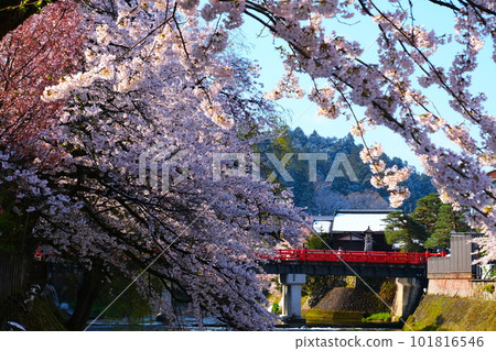 飛騨高山春天中橋 101816546