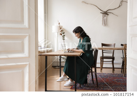 Focused young woman freelancer work on-line using laptop 101817154