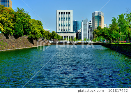 Tokyo: Beautiful fresh green azaleas blooming at the Imperial Palace, Hibiya Moat 101817452