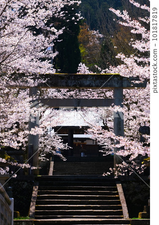 Shorenji Temple in Hida Takayama in spring Shorenji Temple in Hida Takayama in spring 101817819